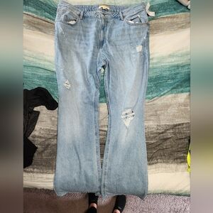 Maurices Goldie blue jeans